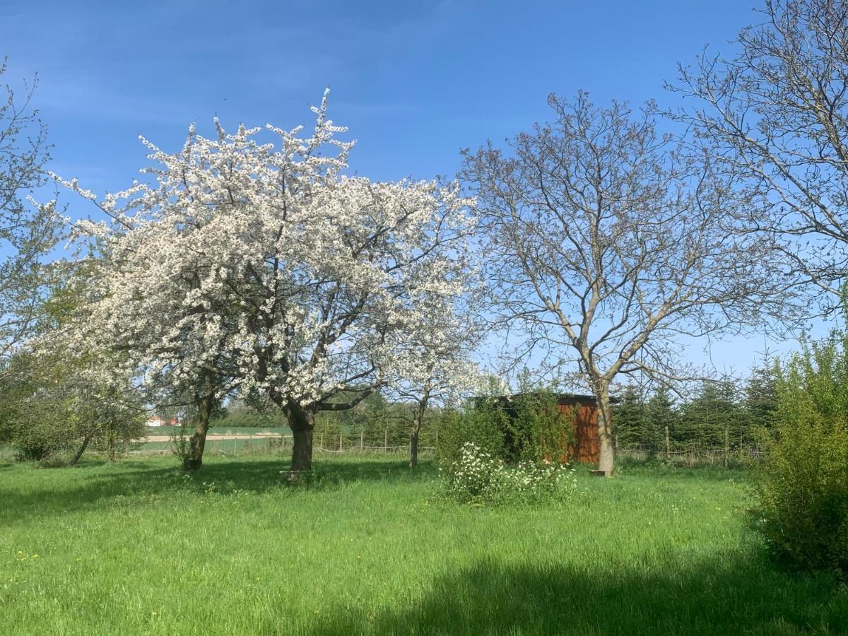 Ferme Renovee 300M2 La Casa Jeb : Charme, Calme Et Nature Moncheaux Eksteriør bilde